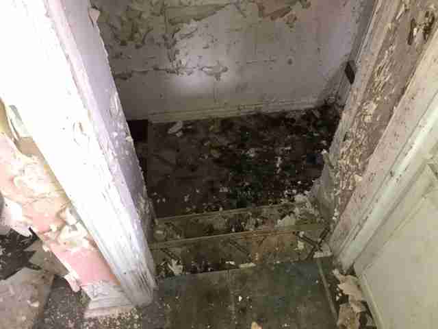 Testing again(44).jpg